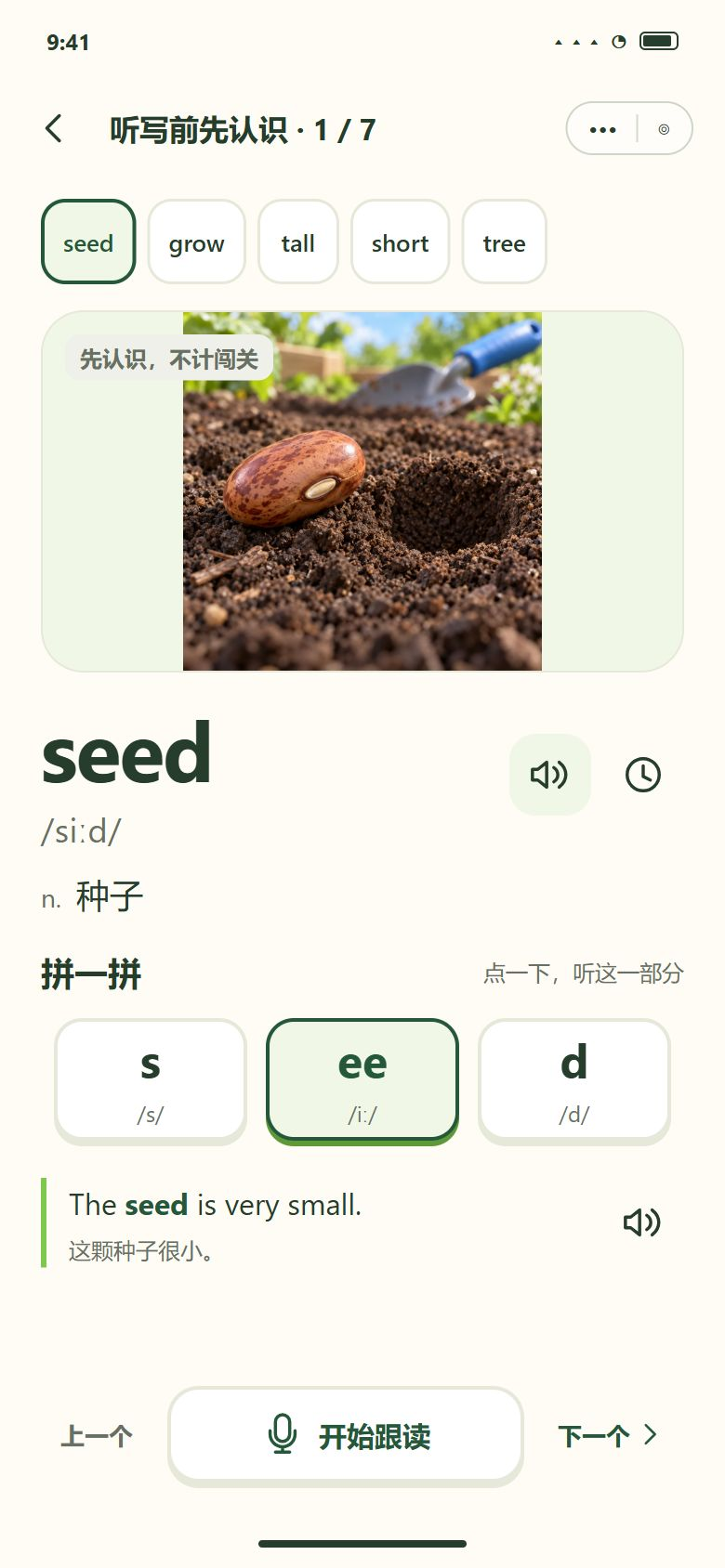 一期 · 听写前先认识新词（单词页；之后每词拼一次再听写）